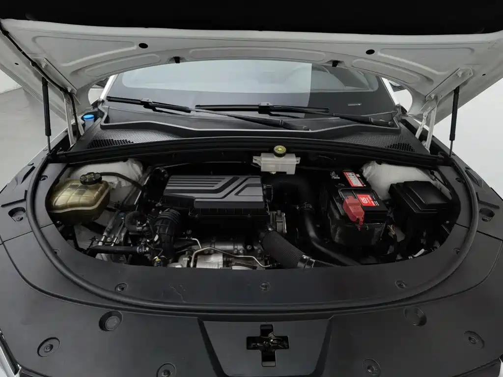BYD PLUS — миниатюра 6