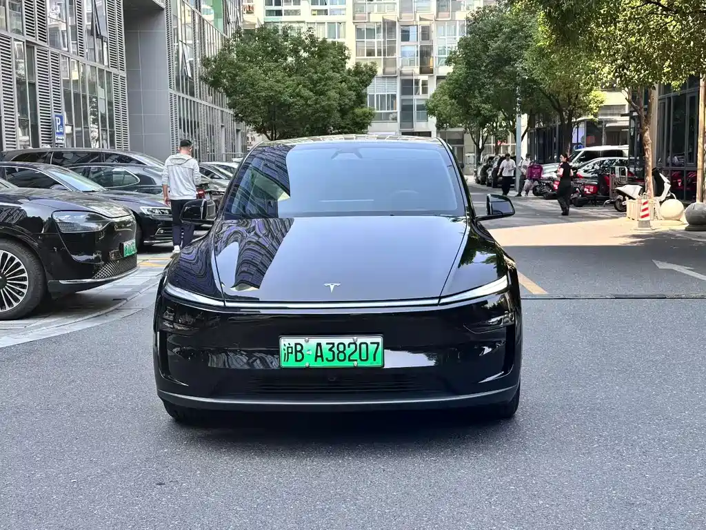 Tesla Model Y — миниатюра 2