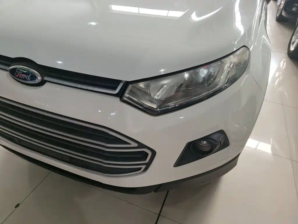 Ford Ecosport — миниатюра 24