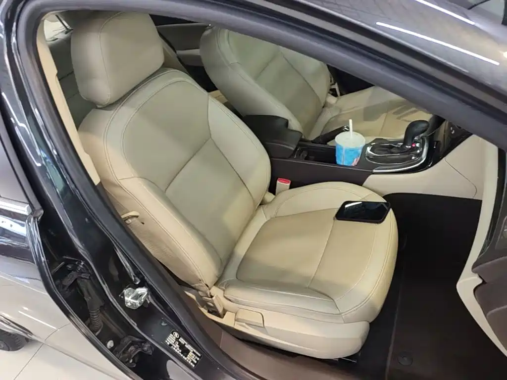 Buick Regal — миниатюра 25