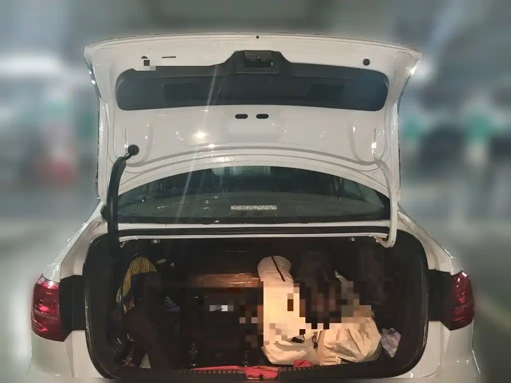 Volkswagen Sagitar — миниатюра 20
