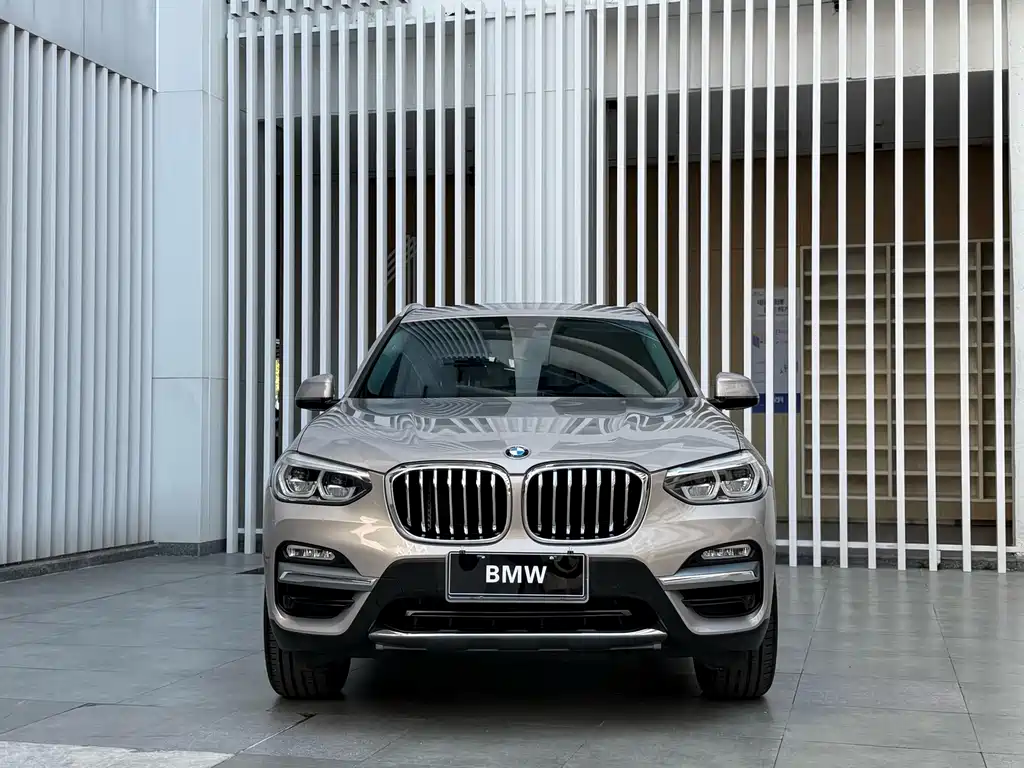 BMW X3 — миниатюра 2