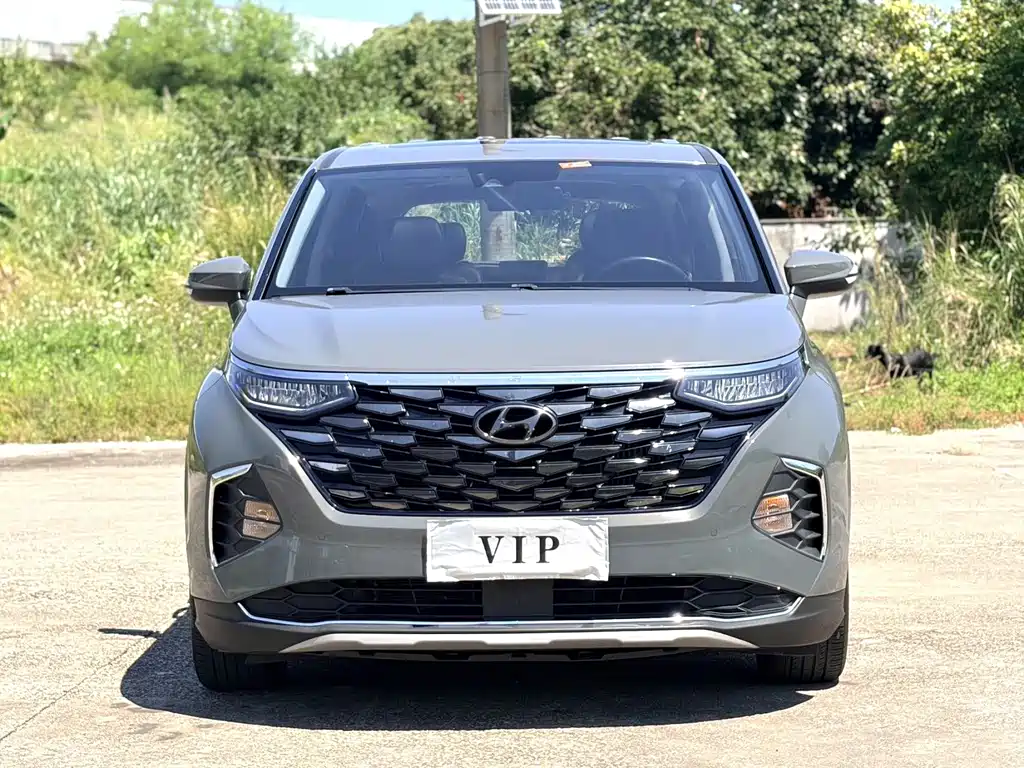 Hyundai Custo — миниатюра 2