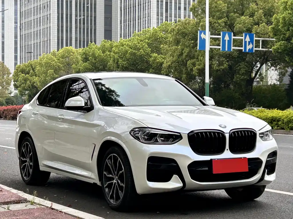BMW X4 2020 xDrive30i M Sport
