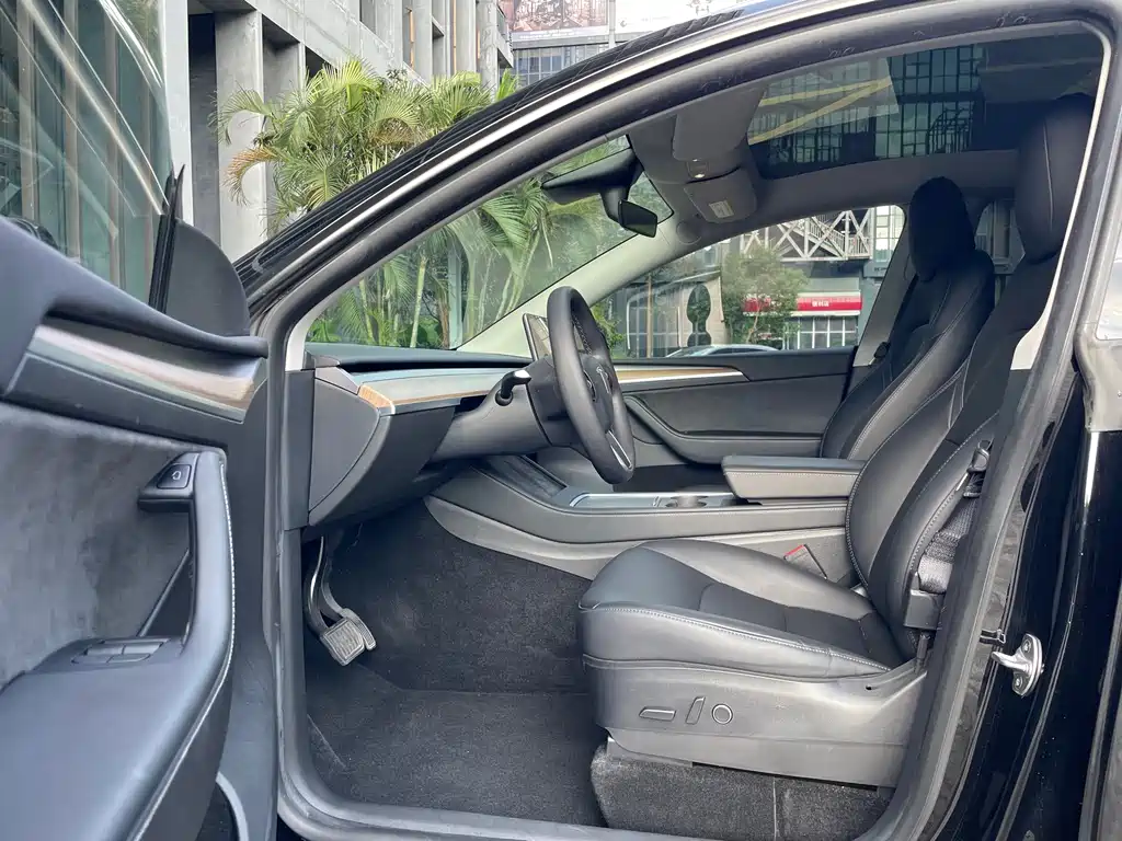 Tesla Model Y — миниатюра 9