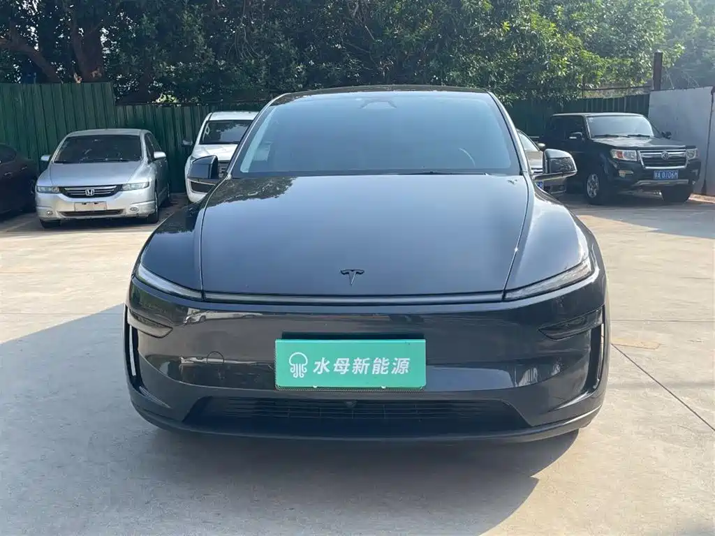 Tesla Model Y — миниатюра 2