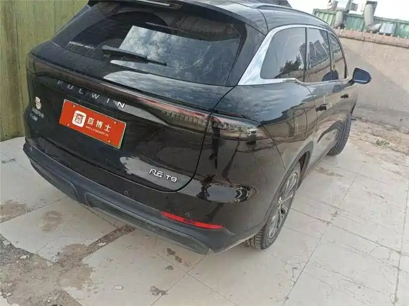 Fulwin Fengyun T9 — миниатюра 10