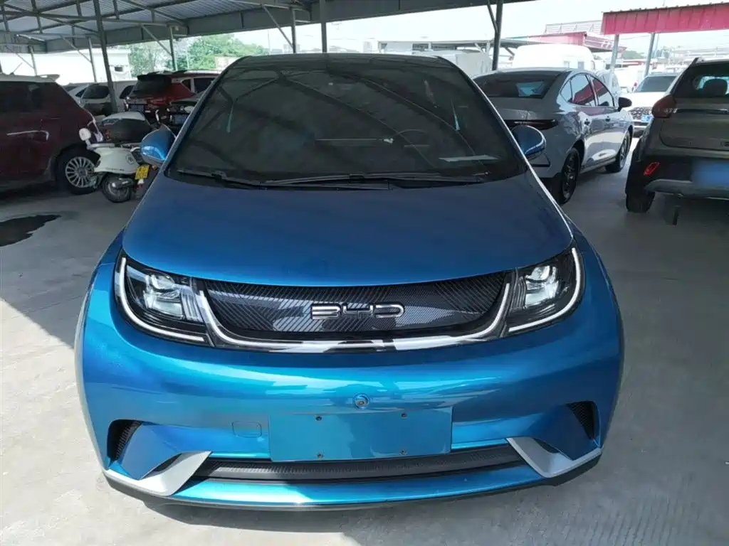 BYD Dolphin 2021 405km Fashion