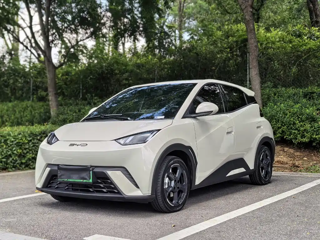 BYD Seagull