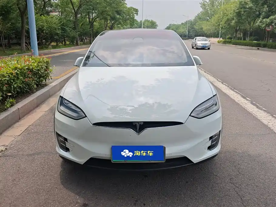 Tesla Model X 2017 Model X 100D