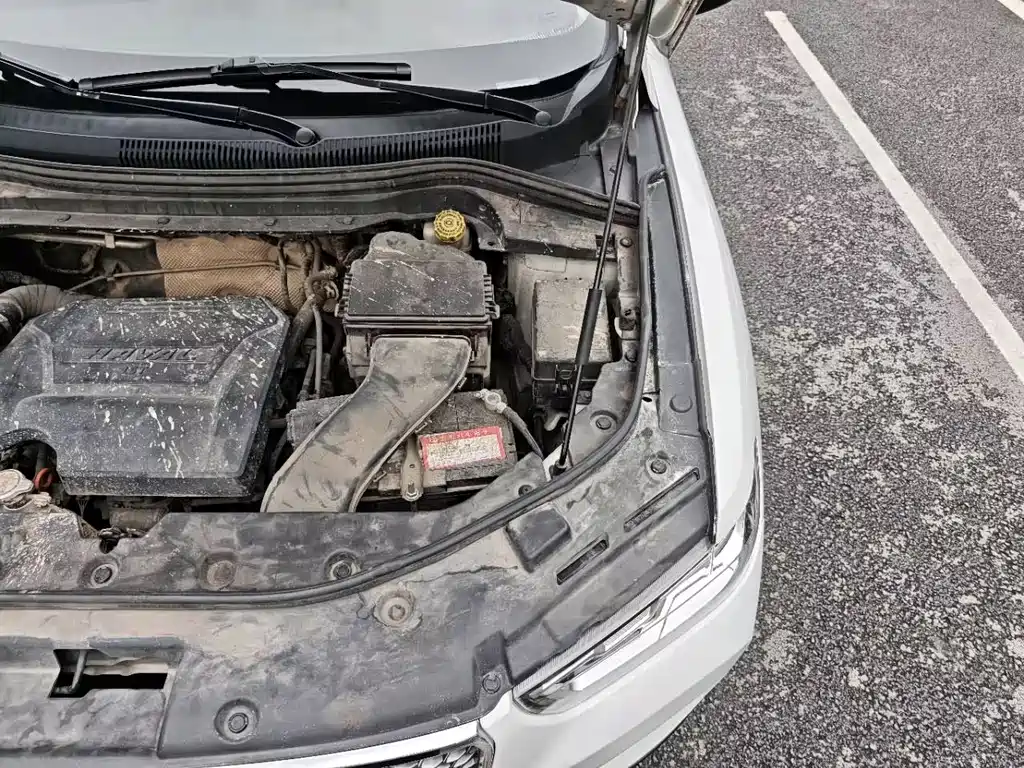 Haval H2s Red Label 1.5T Manual Elite Type, фото 10