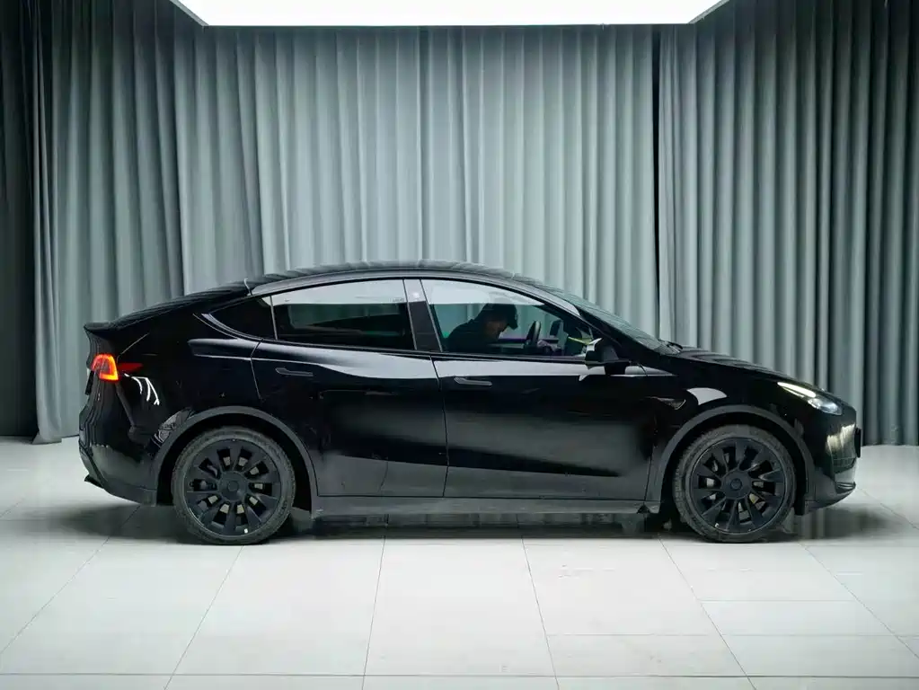 Tesla Model Y — миниатюра 4