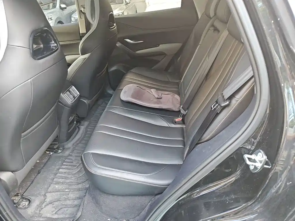 BYD Sealion 05 DM-i — миниатюра 17
