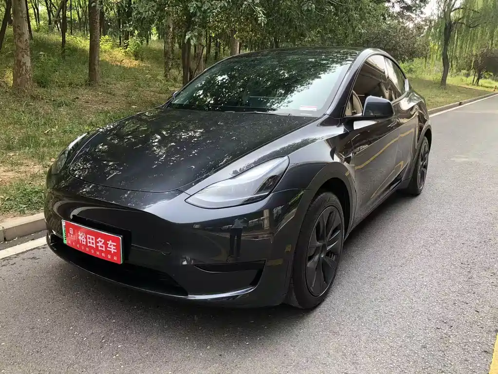Tesla Model Y 2024