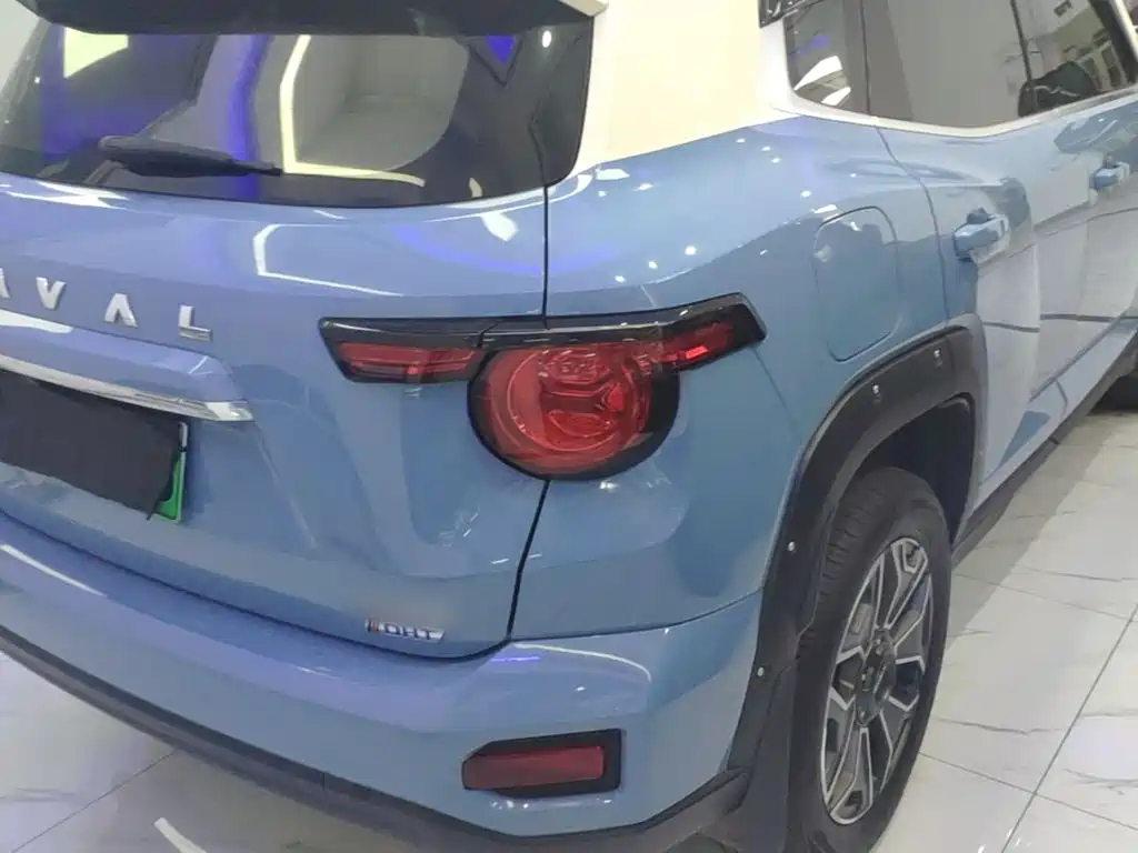 Haval Big Dog PLUS New Energy — миниатюра 8