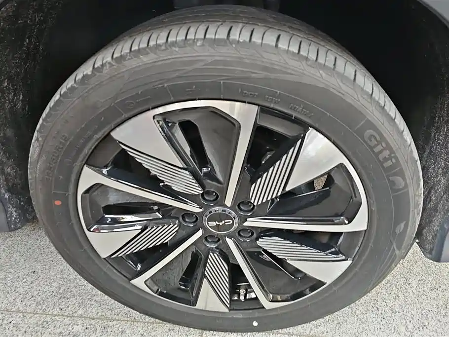 BYD SONGJIANG NEW ENERGY