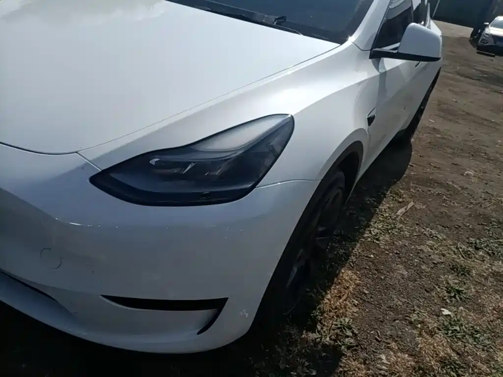 Tesla Model Y — миниатюра 24