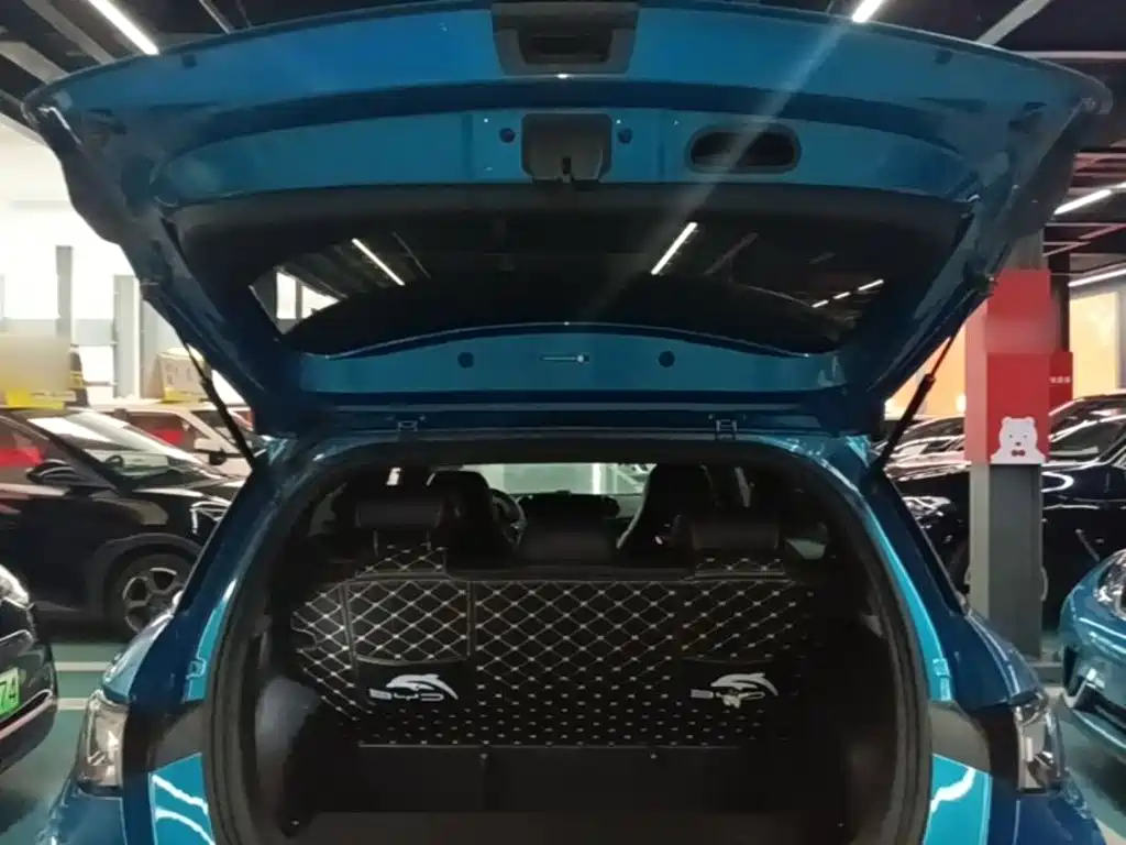 BYD Dolphin — миниатюра 19