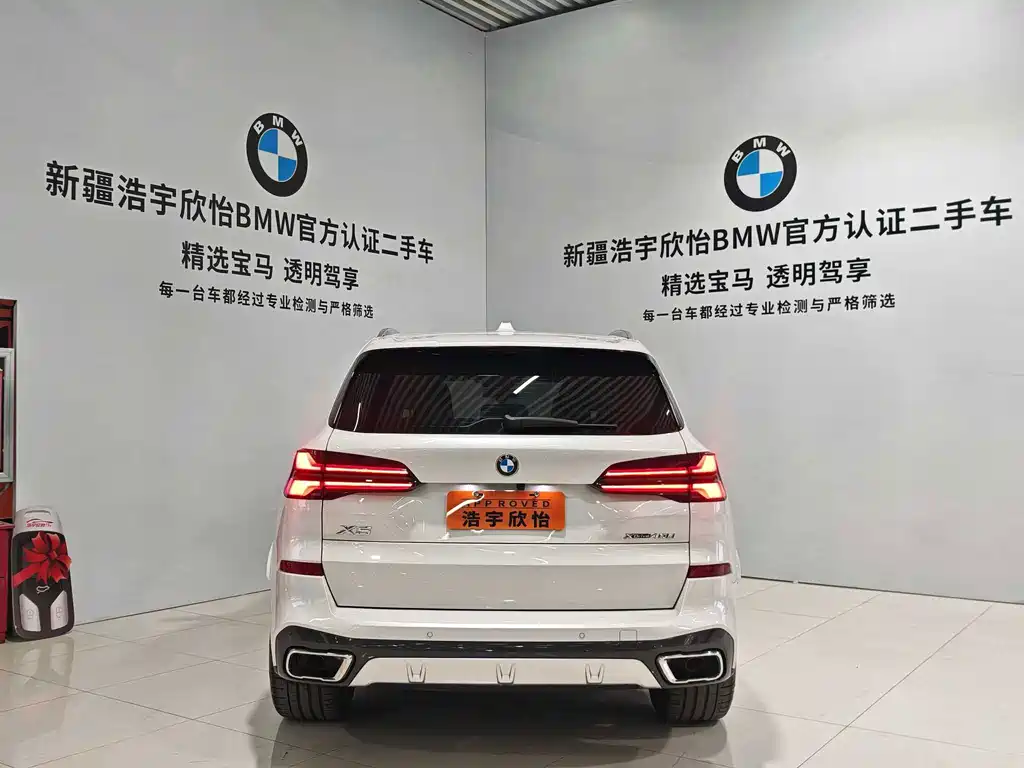 BMW X5 — миниатюра 5