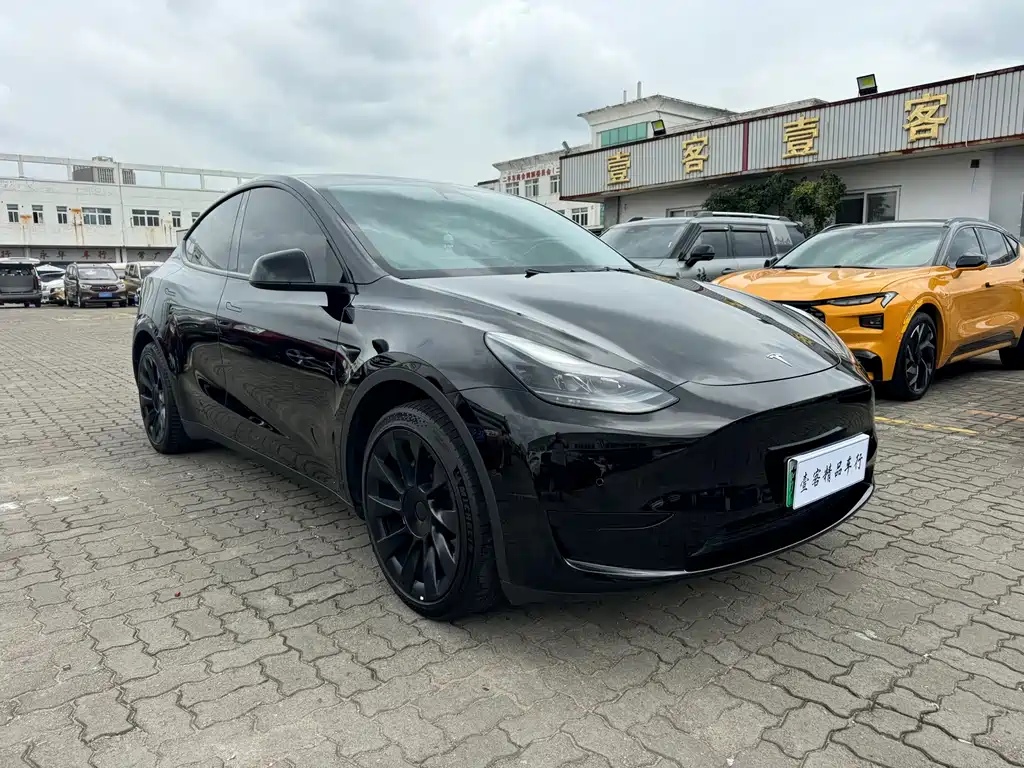 Tesla Model Y — миниатюра 3