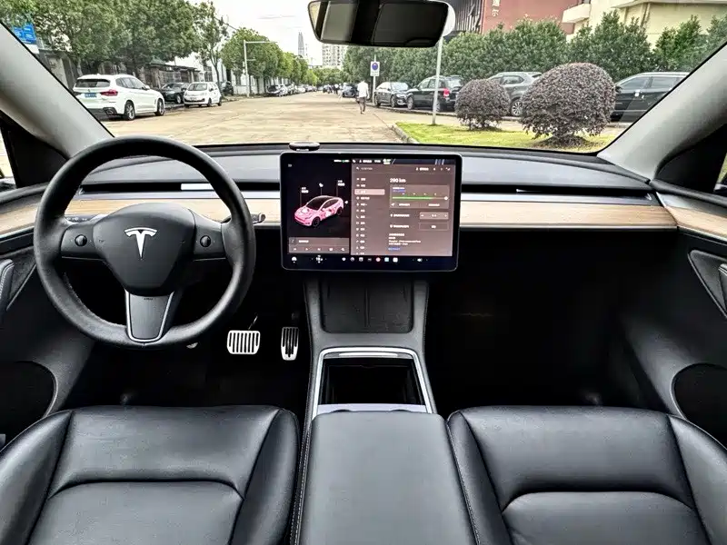 Tesla Model Y — миниатюра 6