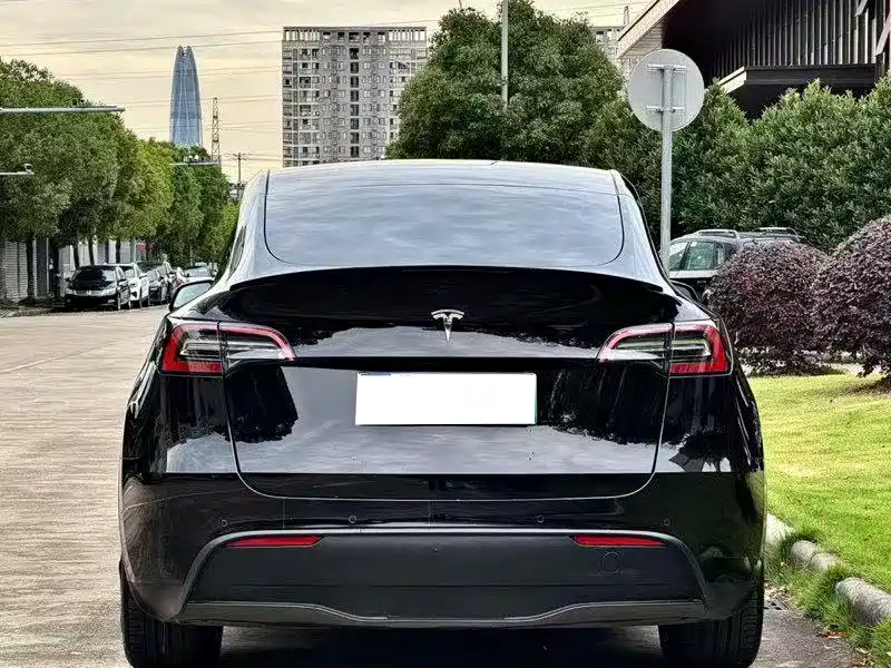 Tesla Model Y — миниатюра 8