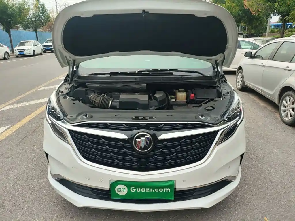 Buick GL8 — миниатюра 20