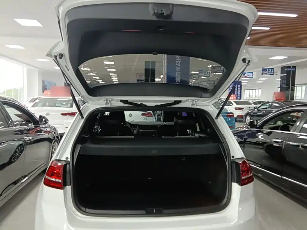 Volkswagen Golf — миниатюра 19