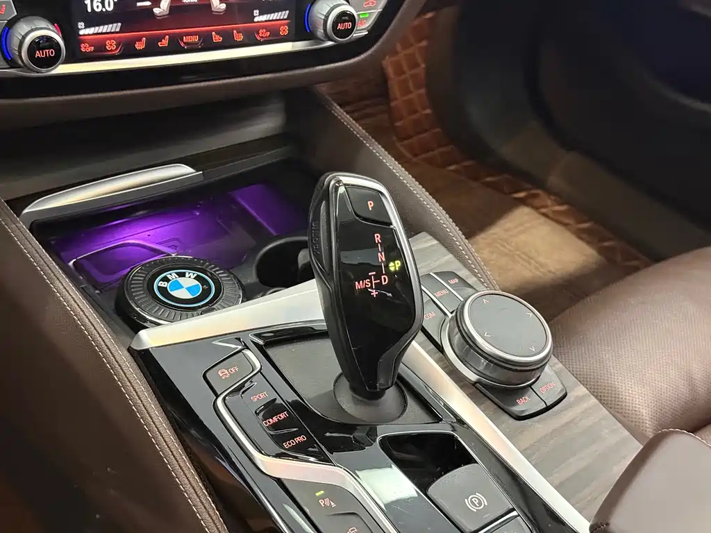 BMW 5 Series 5 2020 530Li Premium Luxury