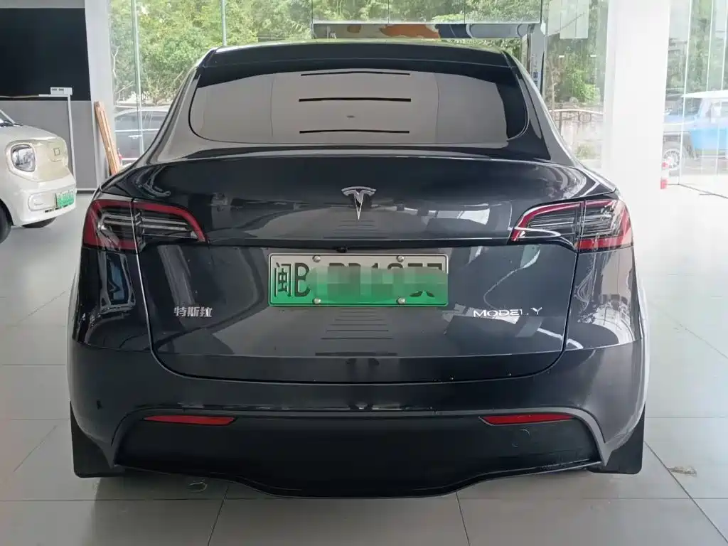 Tesla Model Y — миниатюра 5