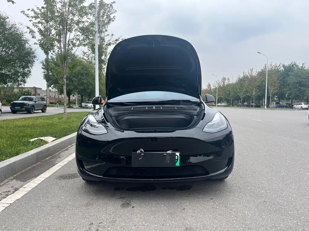 Tesla Model Y — миниатюра 16