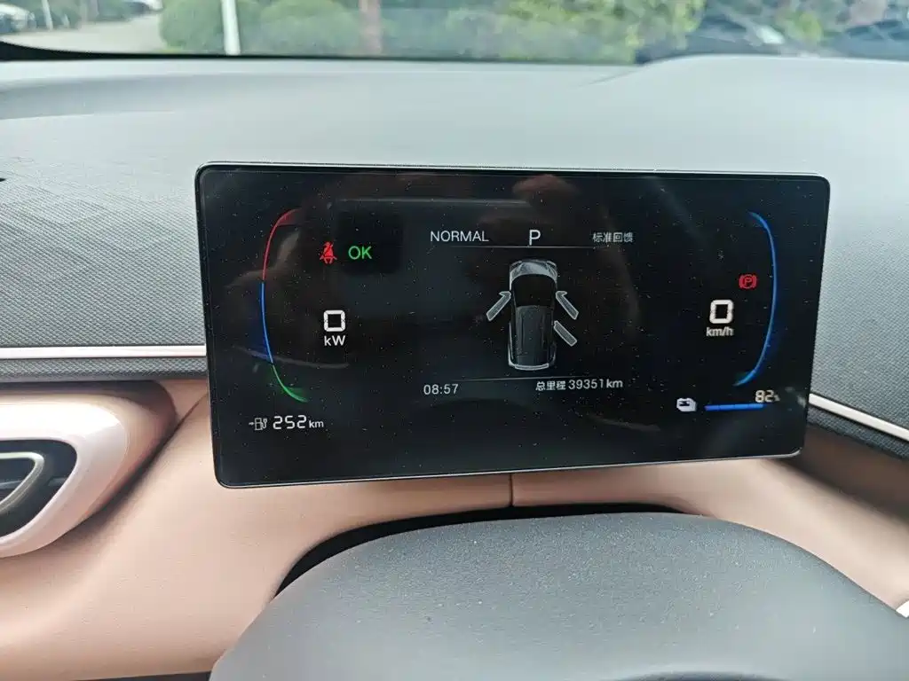 BYD Seagull 2025 305km Freedom