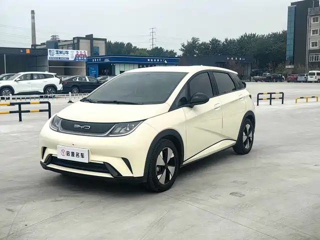 2024 BYD Dolphin