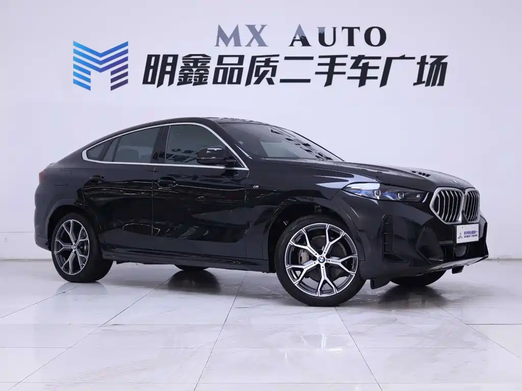 BMW X6 — миниатюра 5