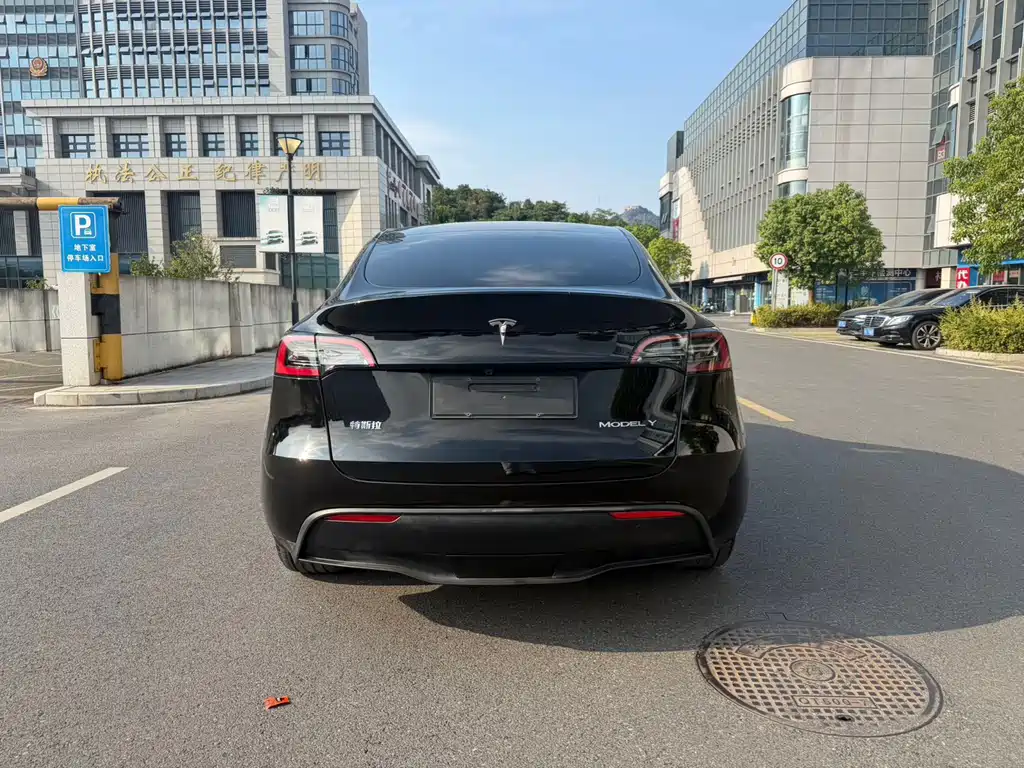 Tesla Model Y — миниатюра 6