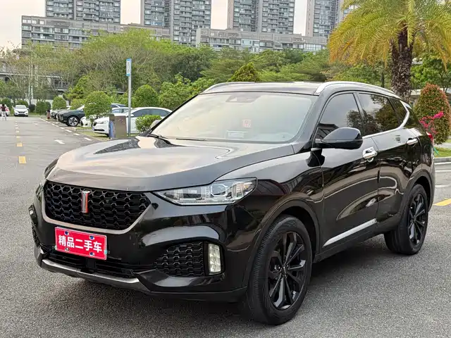 2019 Wey VV6