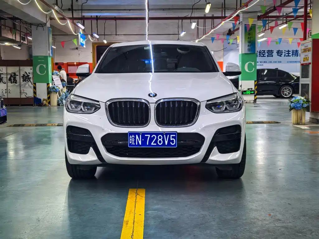 BMW X4 — миниатюра 2