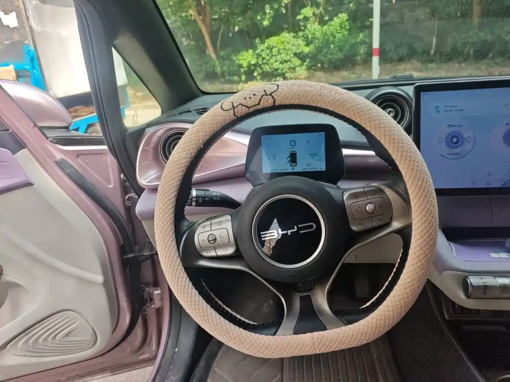 BYD Dolphin — миниатюра 7