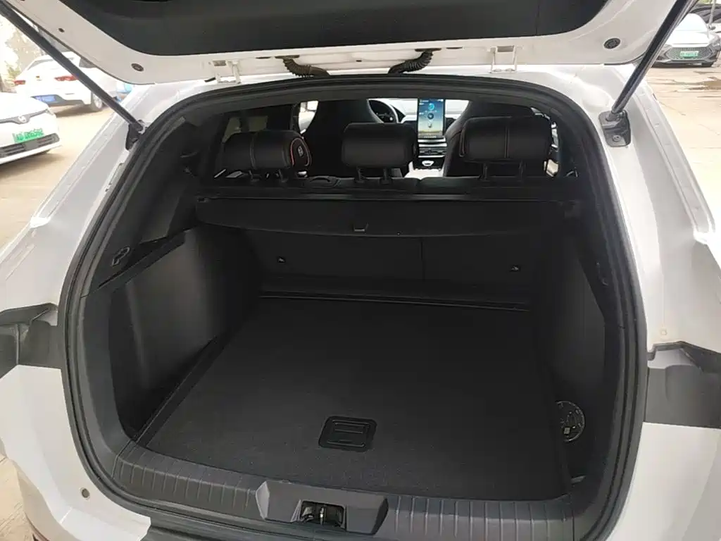 BYD PLUS — миниатюра 19