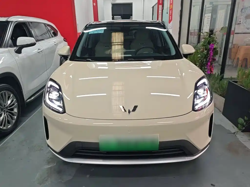 Wuling BinguoS S 2025 325km Premium