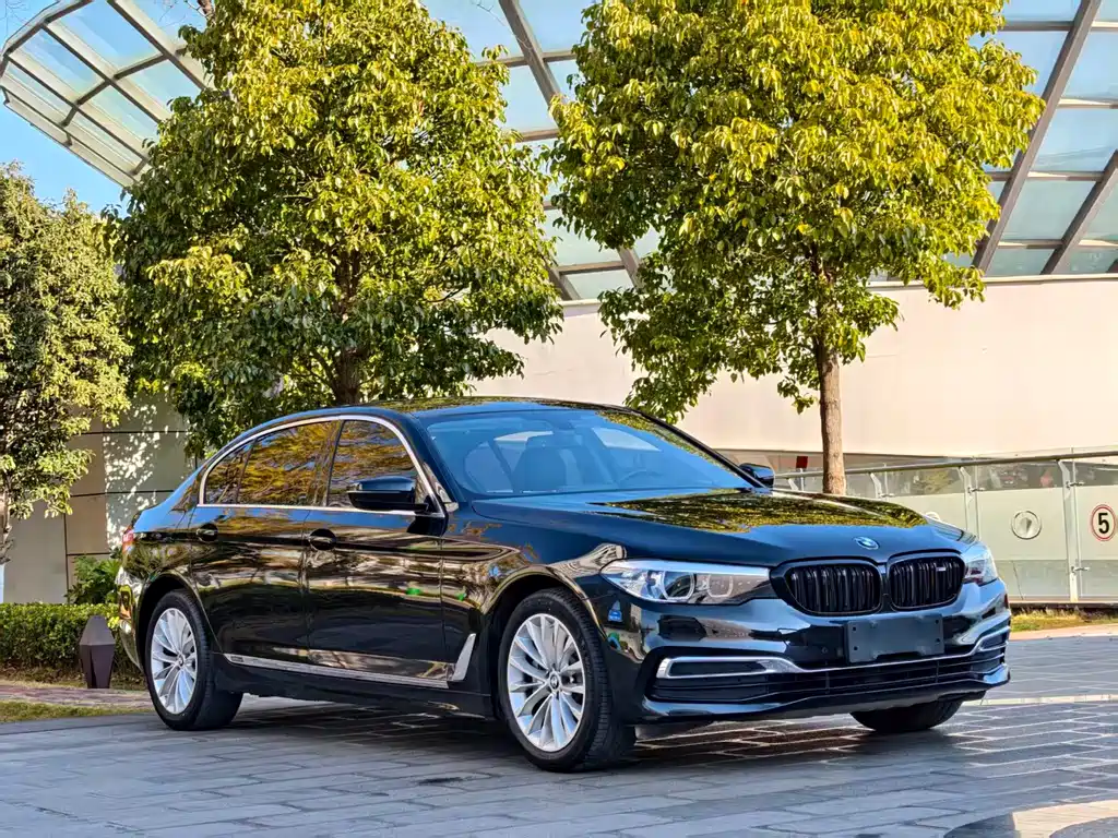 BMW 5 SERIES
