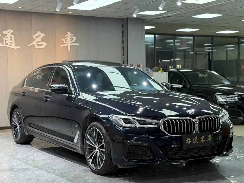 BMW 5 Series — миниатюра 3