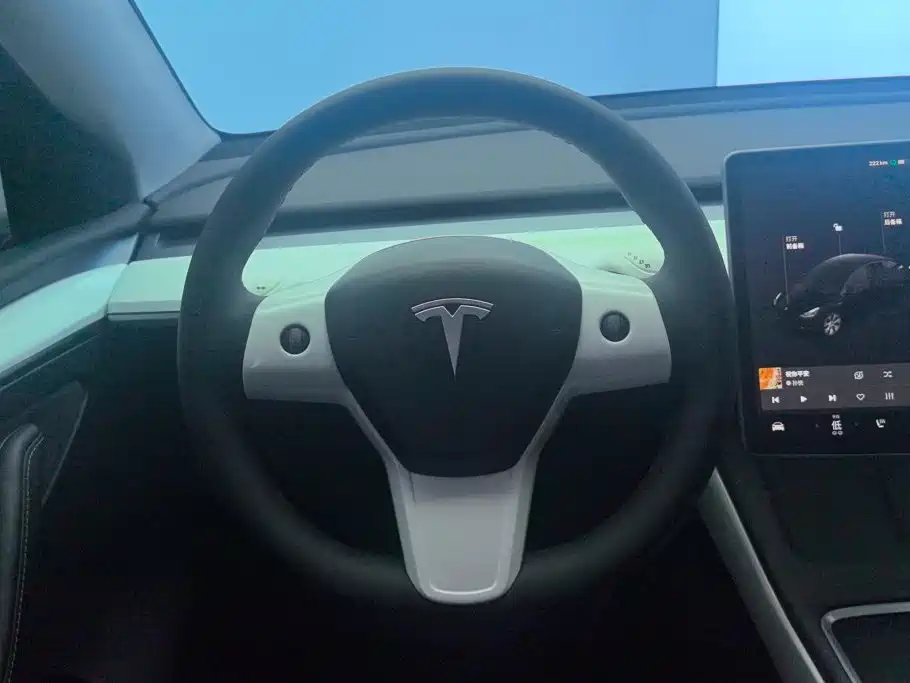 Tesla Model Y — миниатюра 15