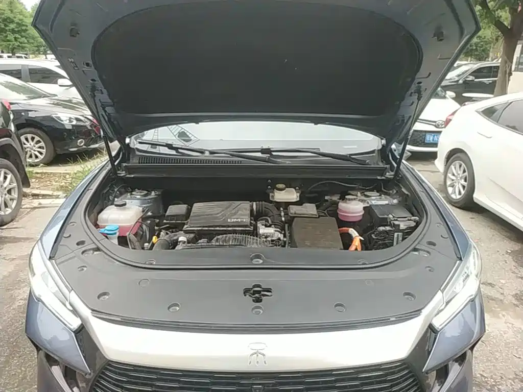 BYD Pro New Energy — миниатюра 20