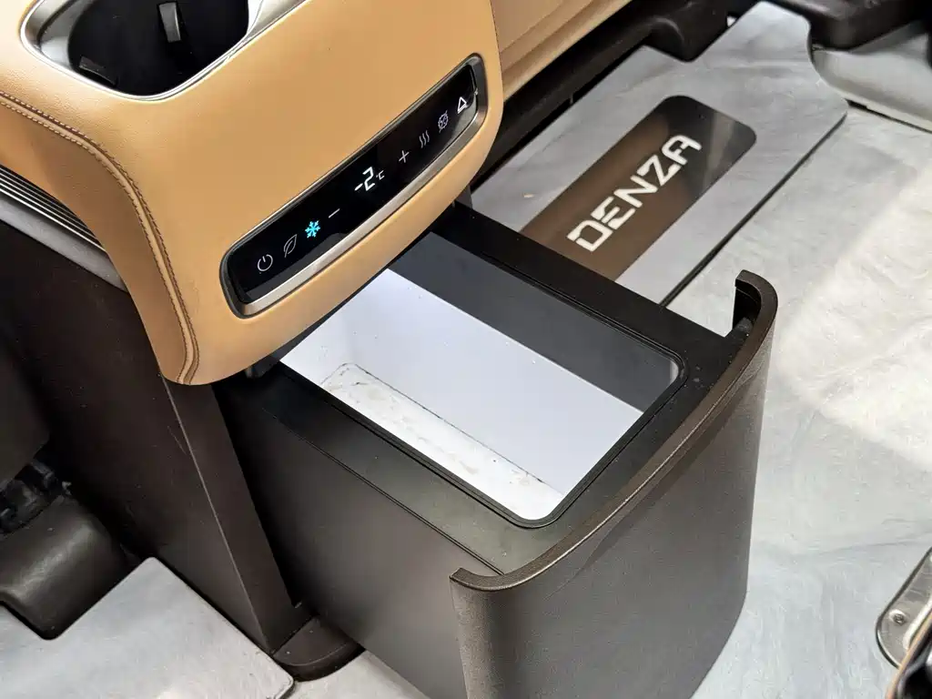 Denza Denza D9 — миниатюра 11