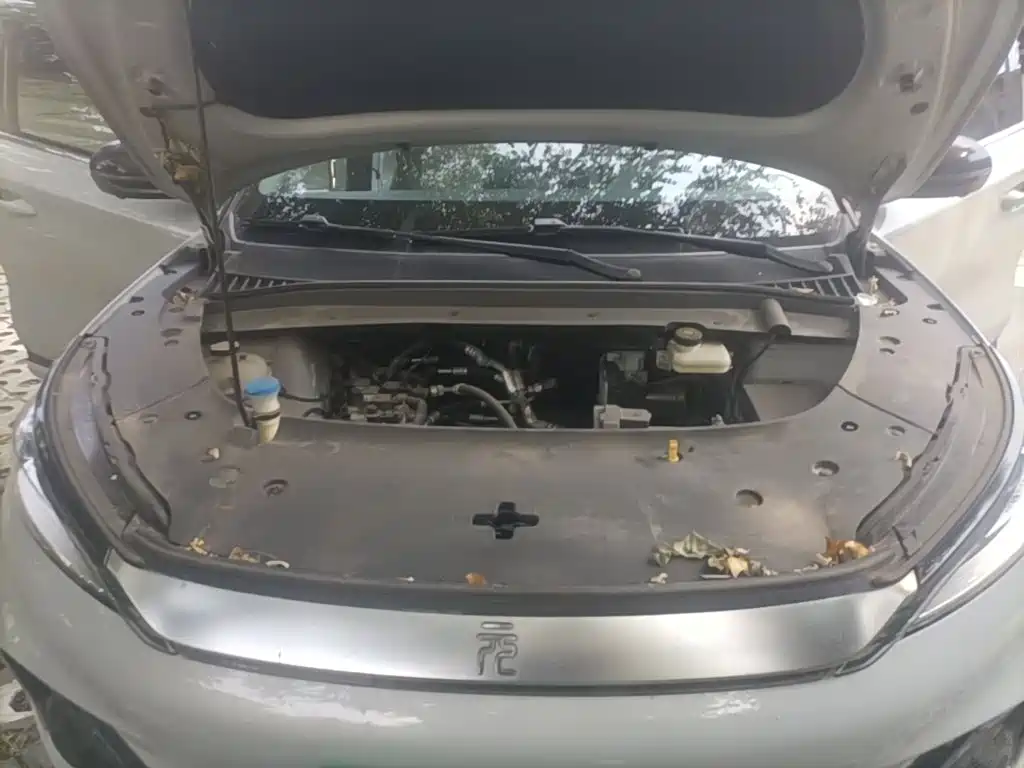 BYD Yuan Plus — миниатюра 20
