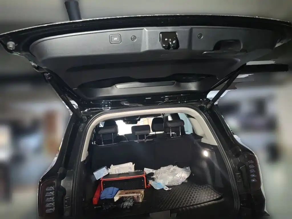 Haval Big Dog — миниатюра 20