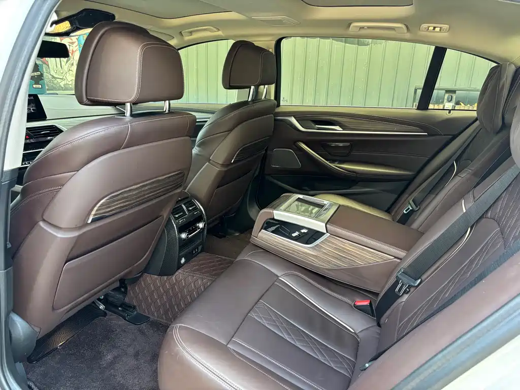 BMW 5 Series 5 2020 530Li Premium Luxury