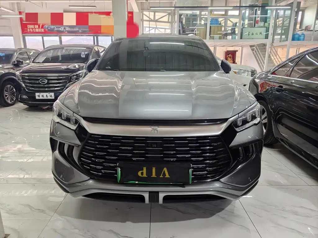 BYD SONGJIANG NEW ENERGY