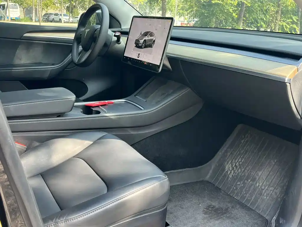 Tesla Model Y — миниатюра 6
